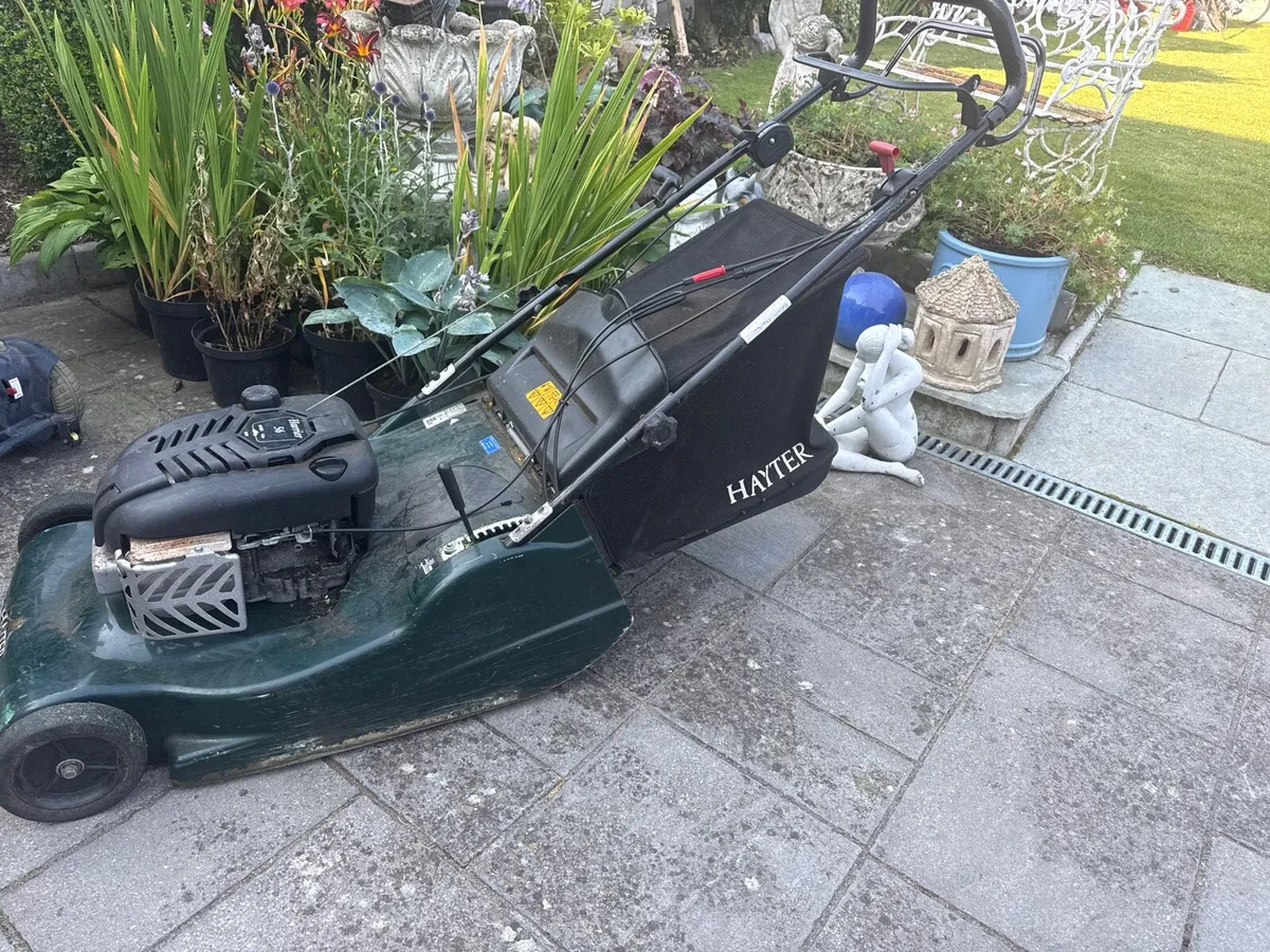 Hayter lawn mower - Image 2