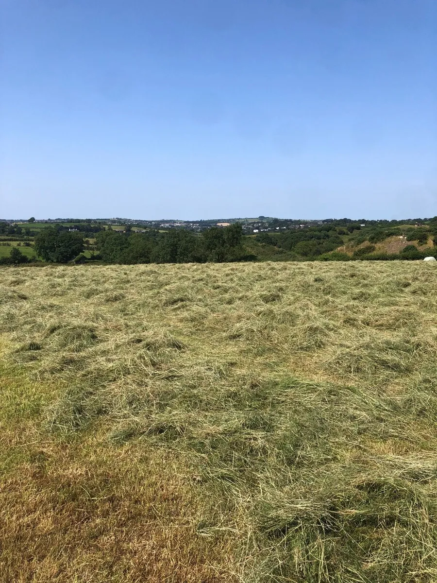 HAY FOR SALE