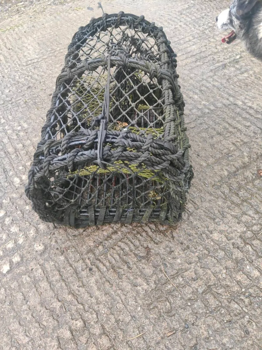 Crab/lobster pot - Image 1