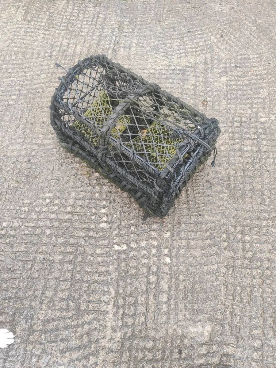 Crab/lobster pot - Image 2