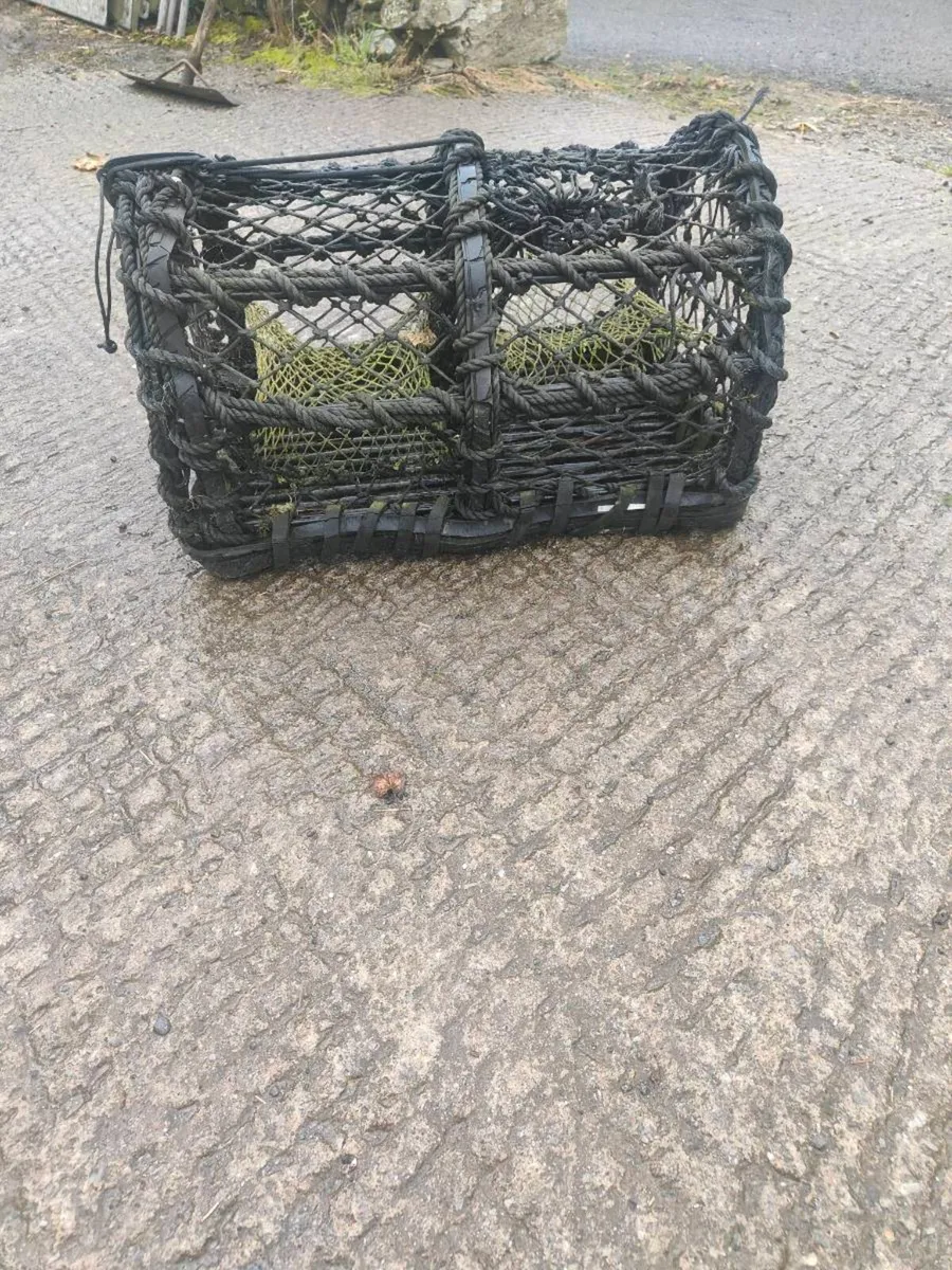 Crab/lobster pot - Image 3