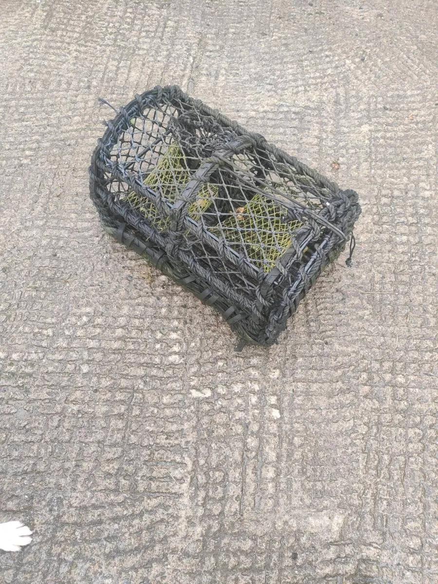 Crab/lobster pot - Image 4