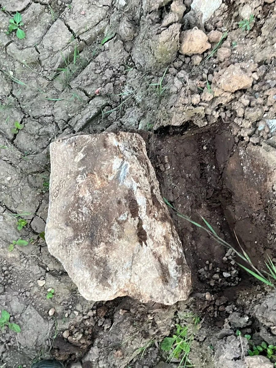 Free topsoil/ stone- collection fermoy area - Image 2