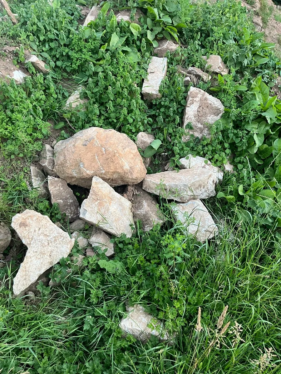 Free topsoil/ stone- collection fermoy area - Image 1