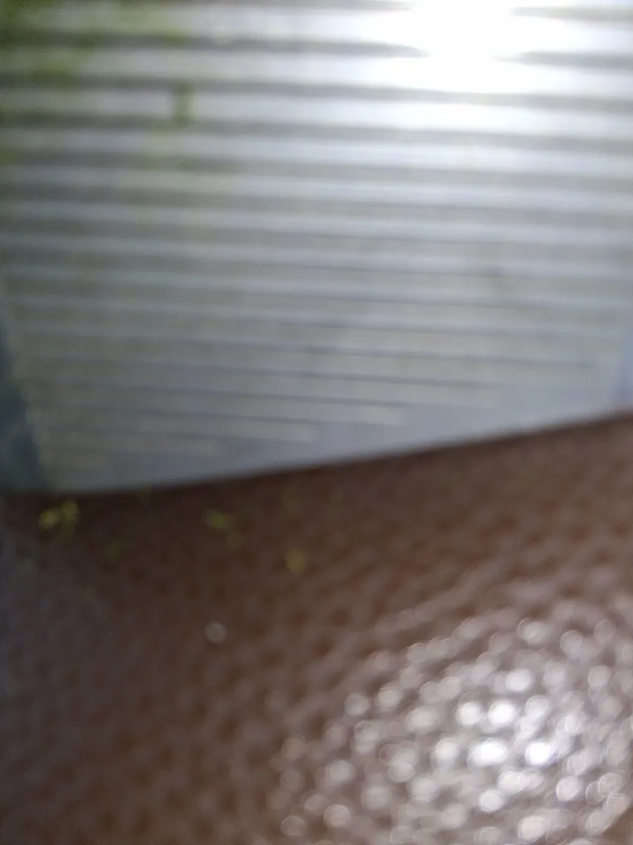 Left-hand ping chipr - Image 2