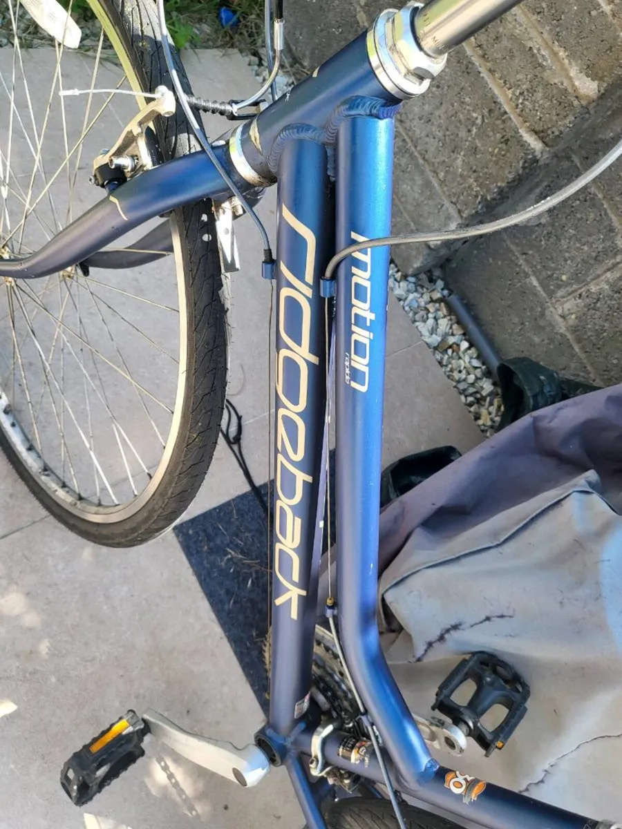 Adult Ridgeback Motion Rapide Bike - Image 2