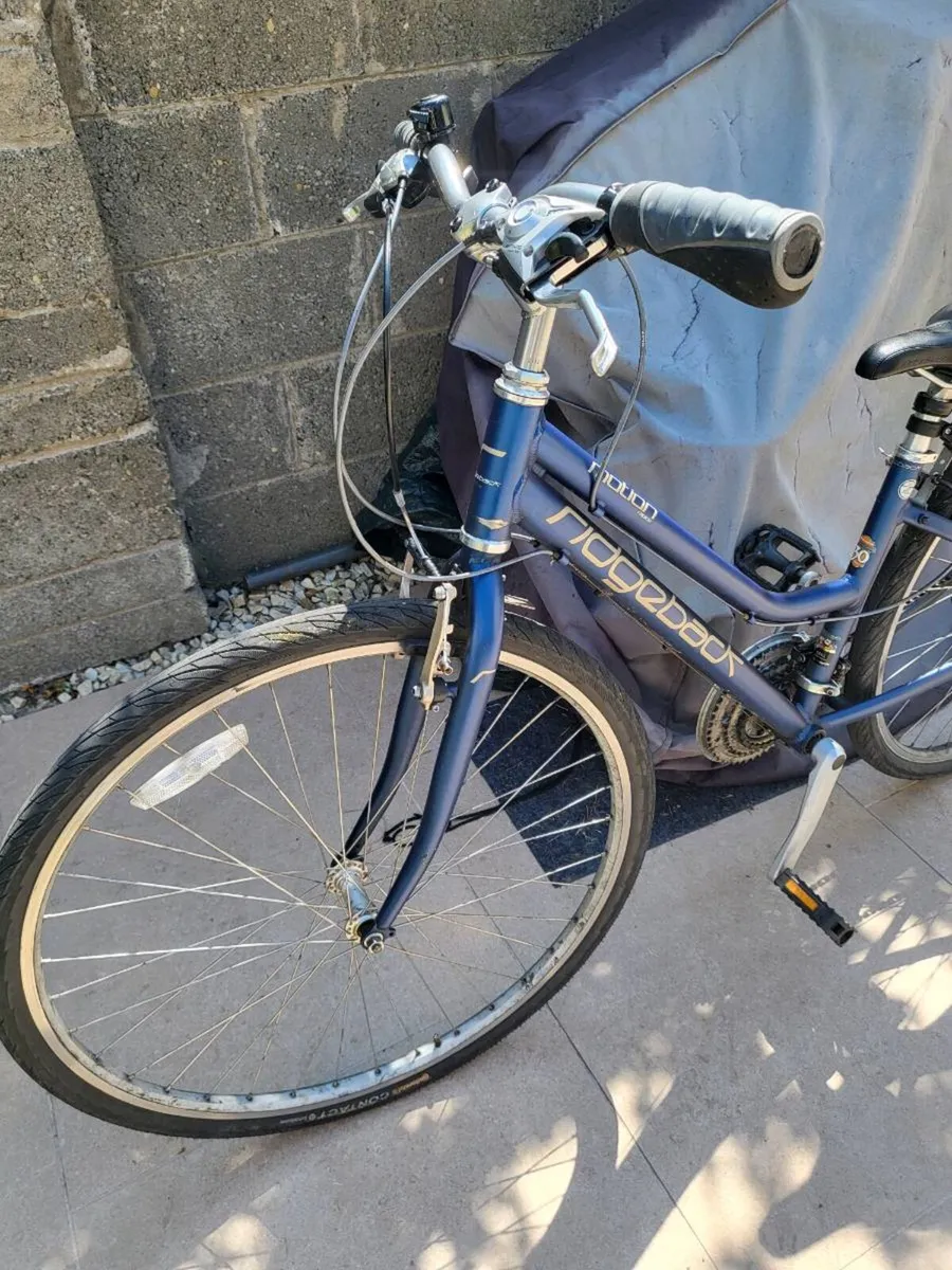 Adult Ridgeback Motion Rapide Bike - Image 3
