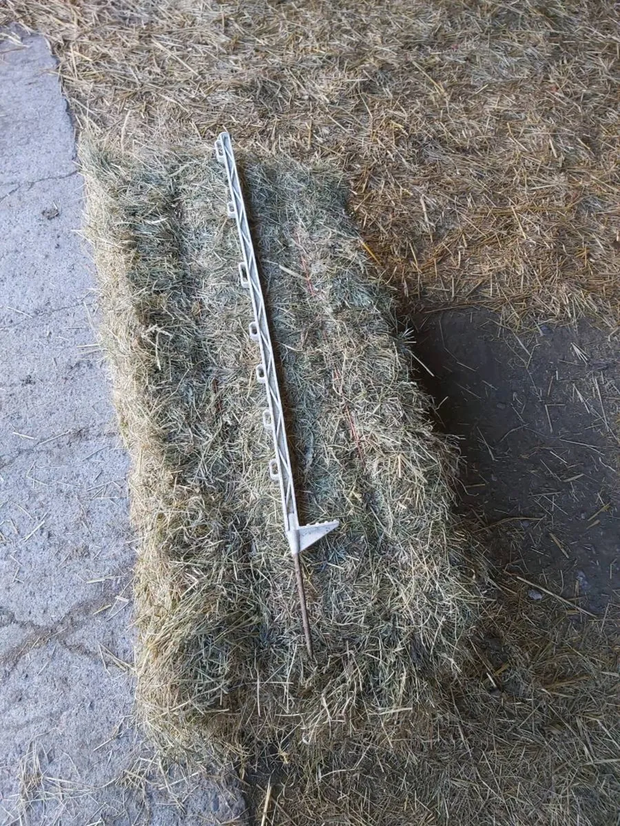 Small square bales of 2026 hay - Image 4