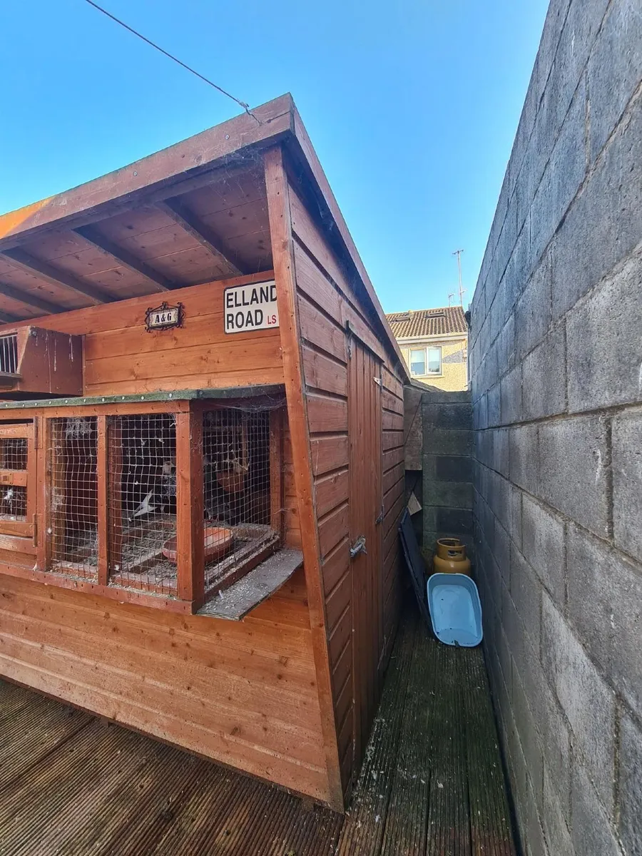 Pigeon Loft - Image 3