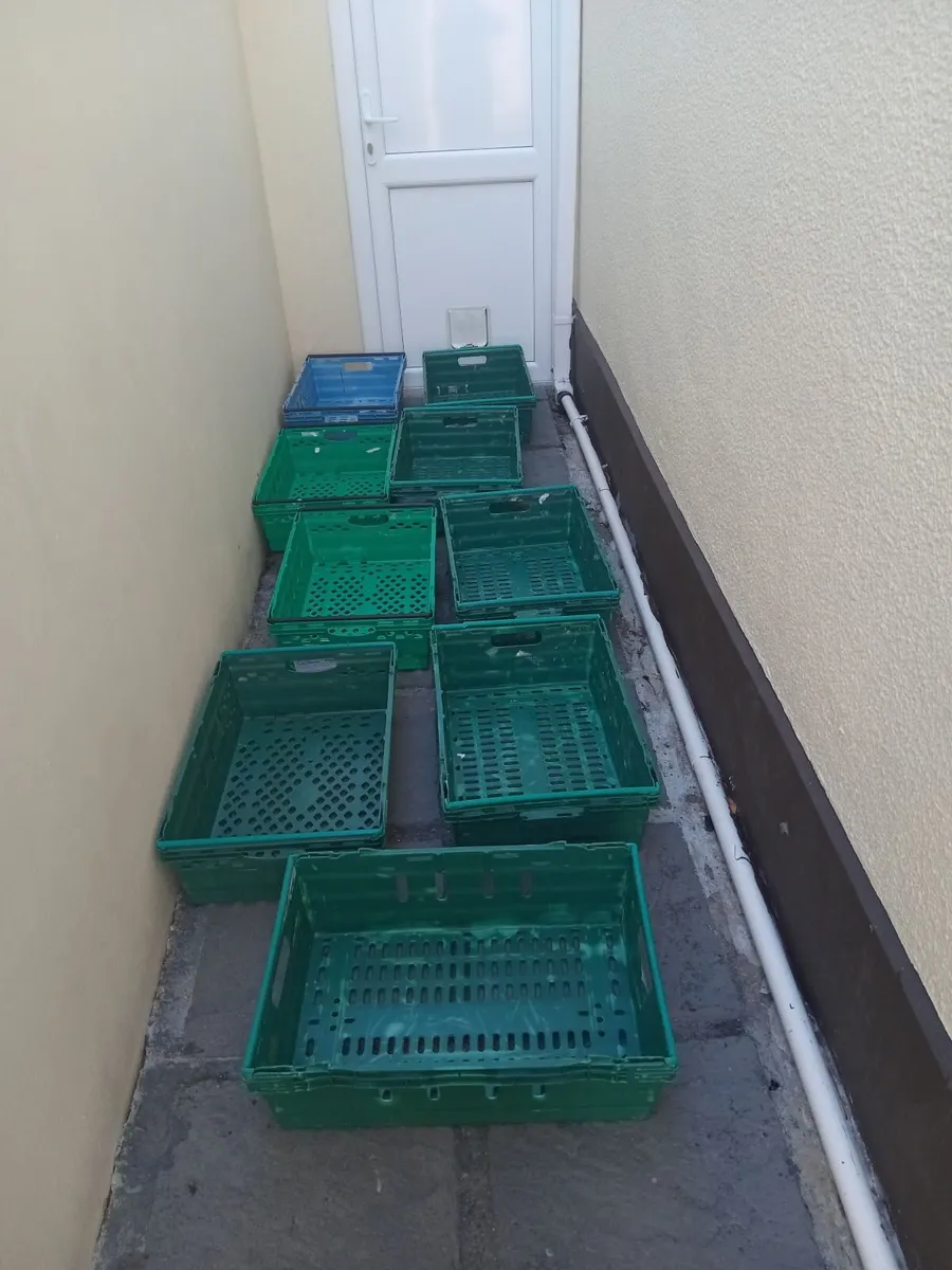 9 CRATES - Image 1