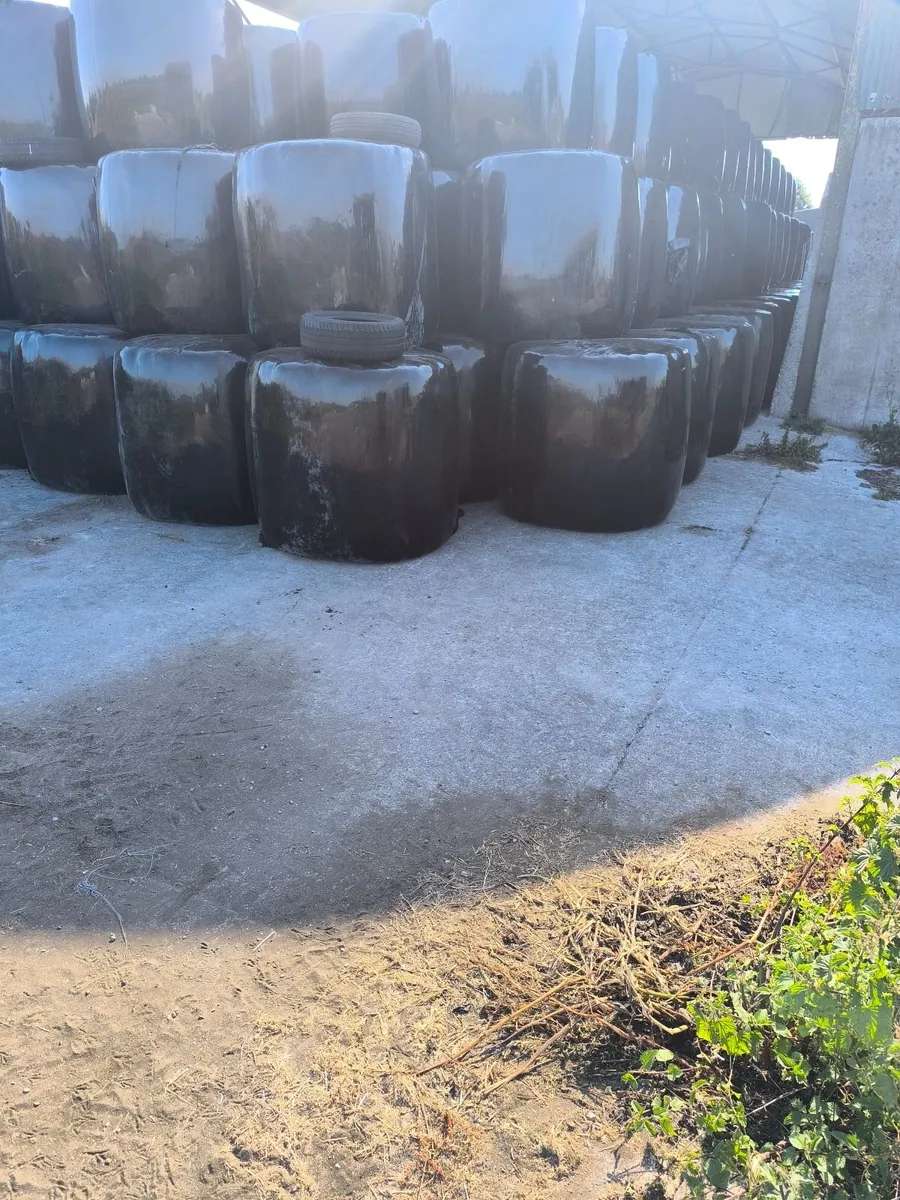 300 bales of freshly made silage - Image 2