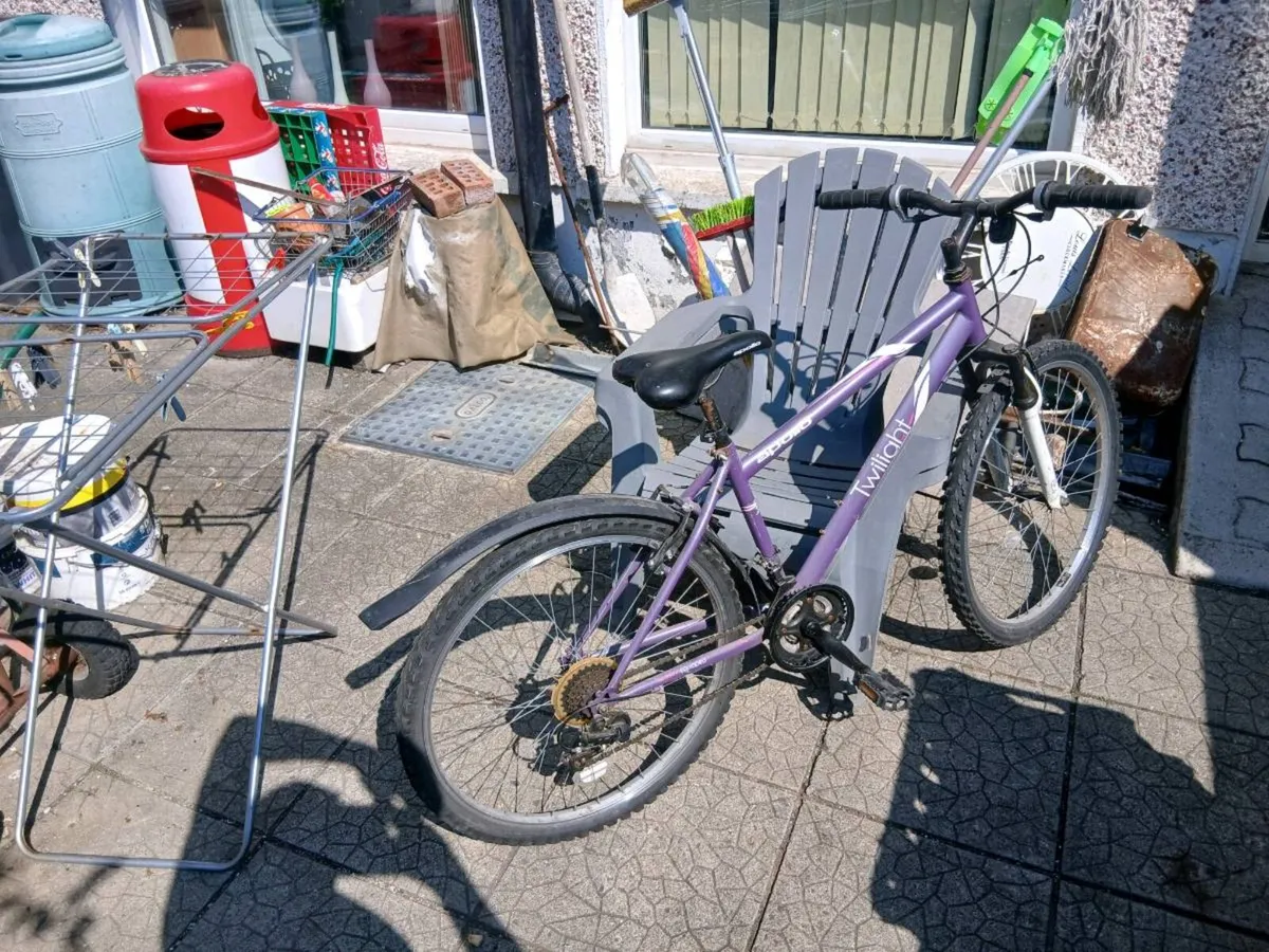 Girls mountain bike - Image 2