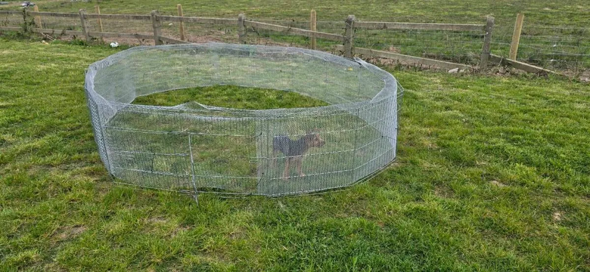 Large Pet Pen - Image 2