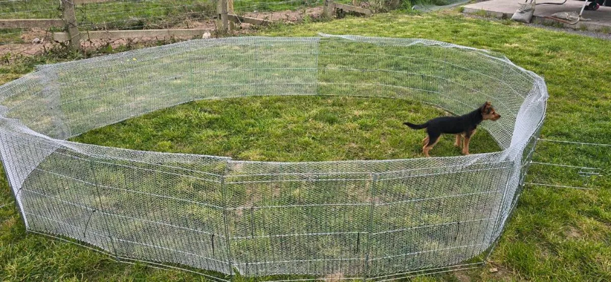 Large Pet Pen - Image 3