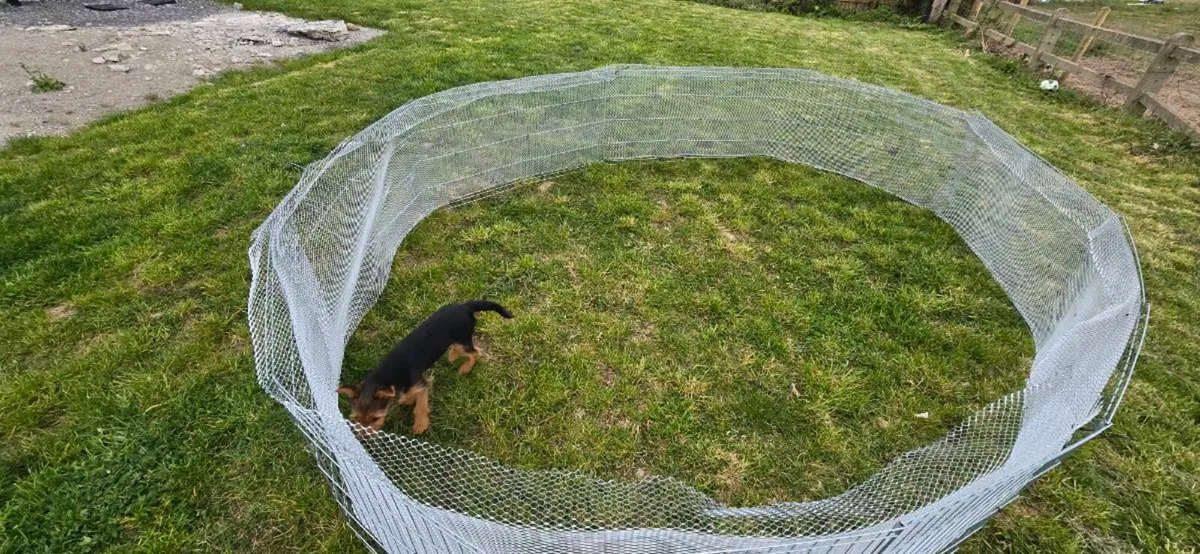 Large Pet Pen - Image 1