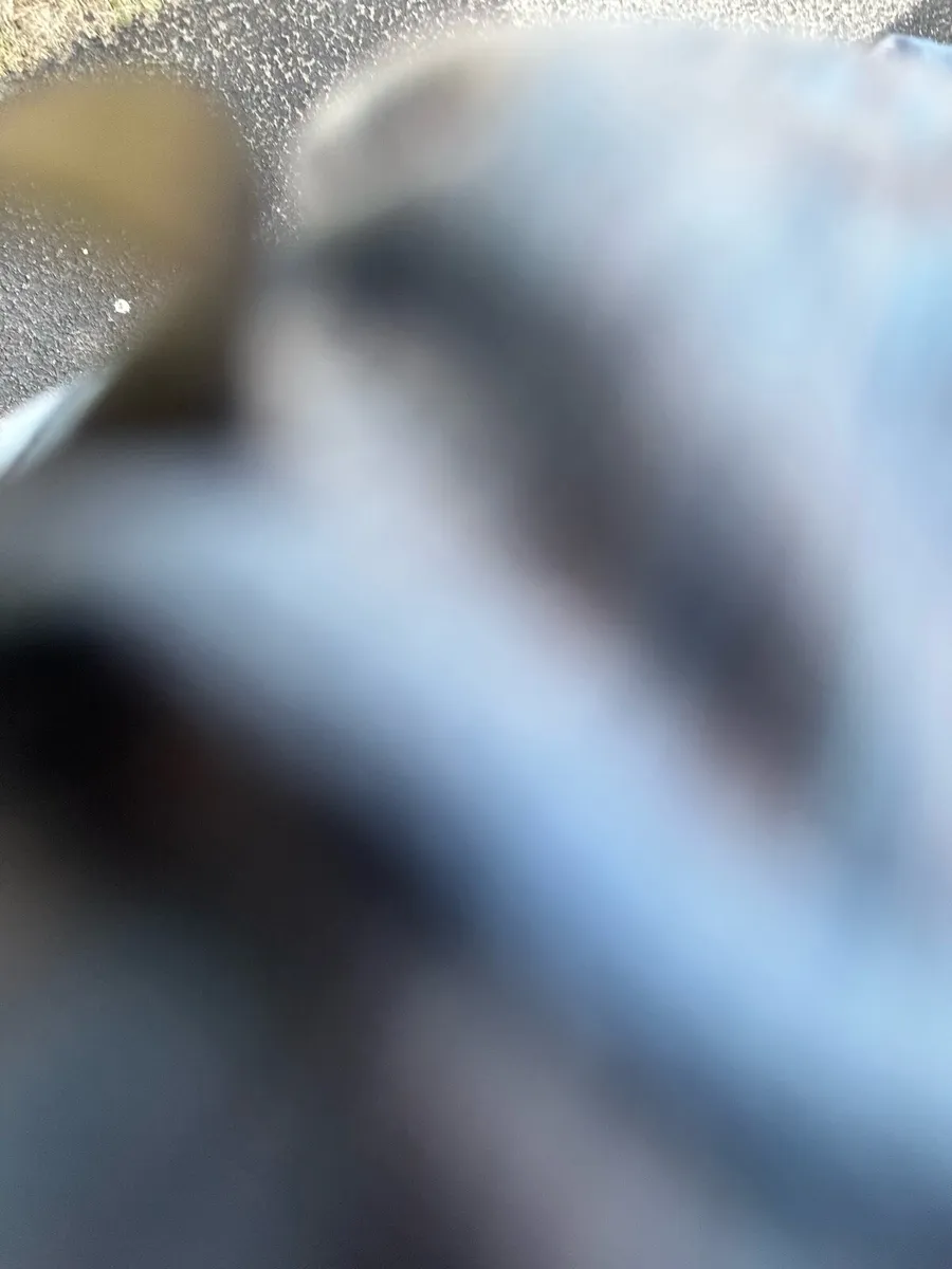 Kerry Dublin
