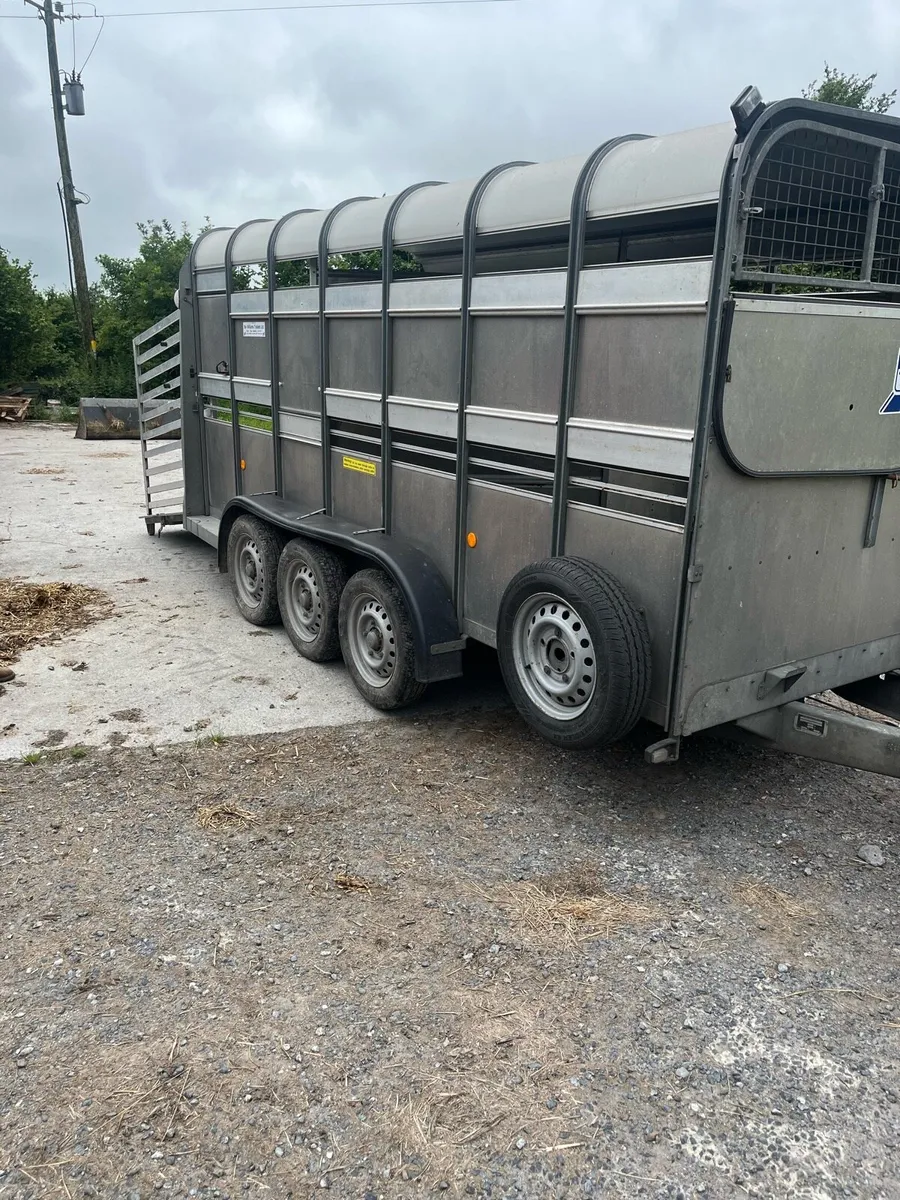 Ifor triaxel cattel box - Image 1