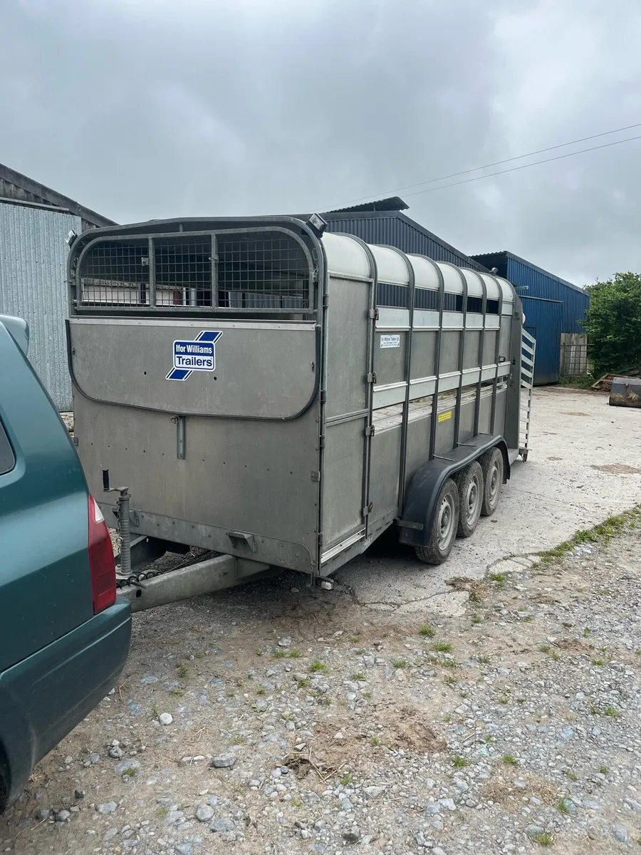 Ifor triaxel cattel box - Image 2