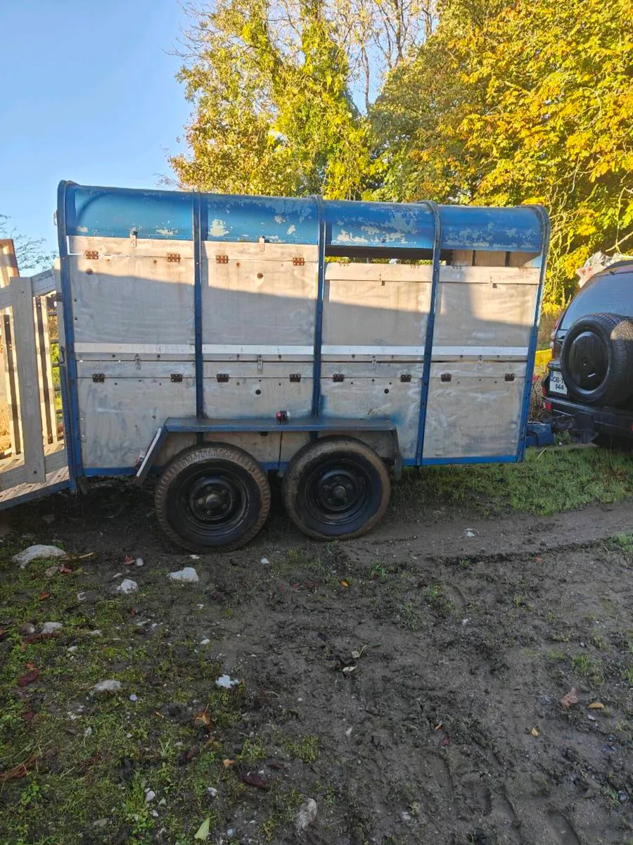 Cattle trailer - Image 2