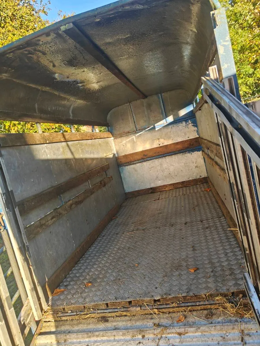 Cattle trailer - Image 3