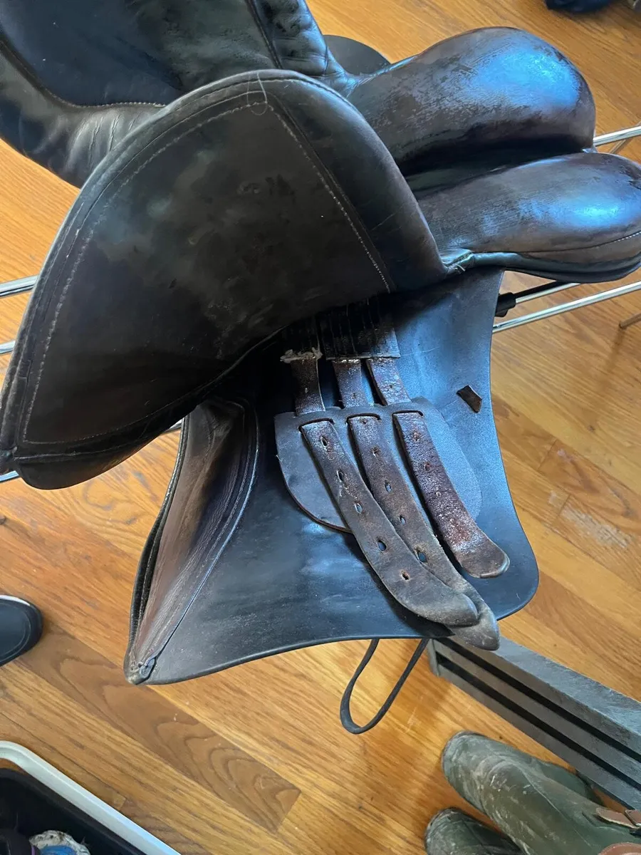 Berneys GP 17" medium width saddle black - Image 2