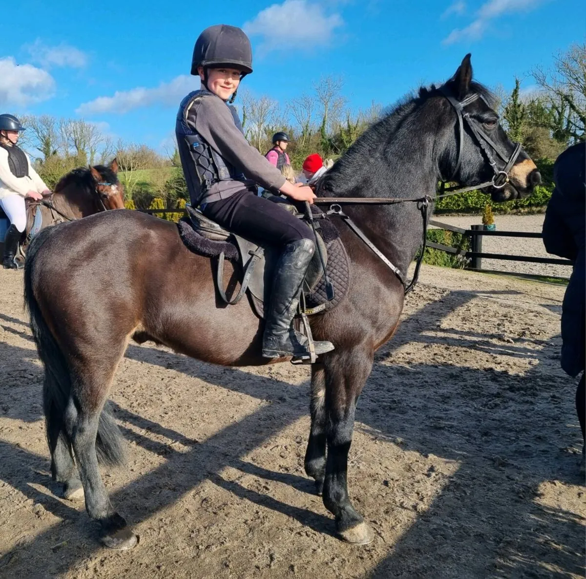 Pony - Image 3