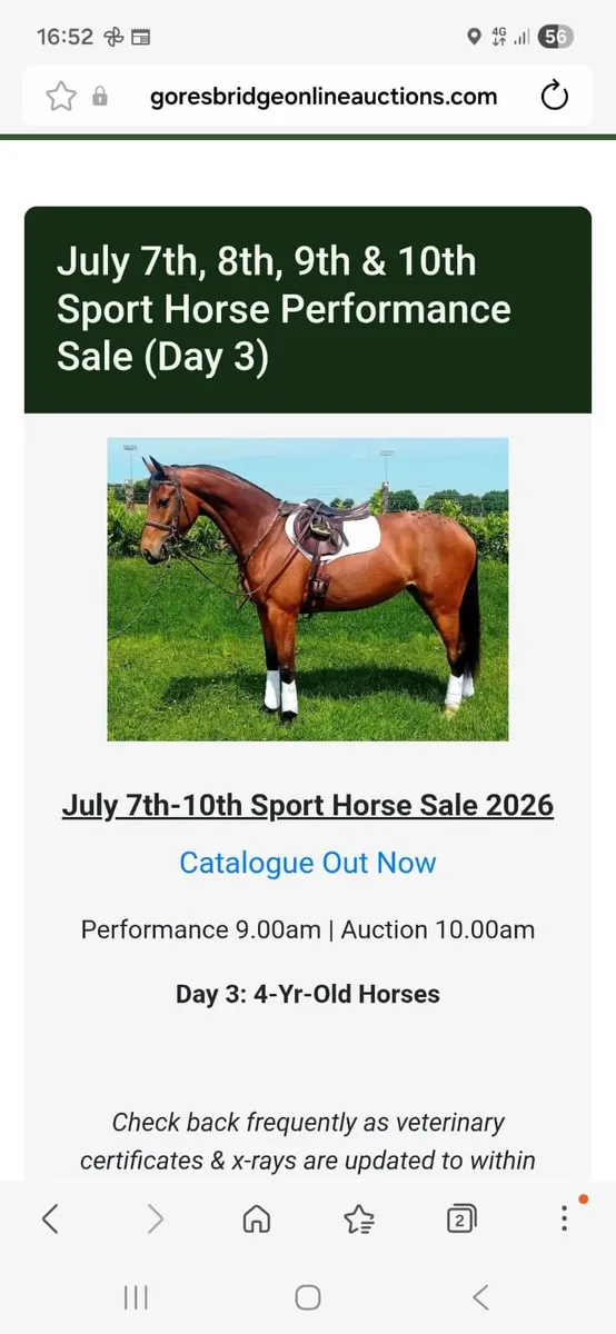 ***Lot 569*** Goresbridge 4 YR Old 9th July 2026 - Image 1