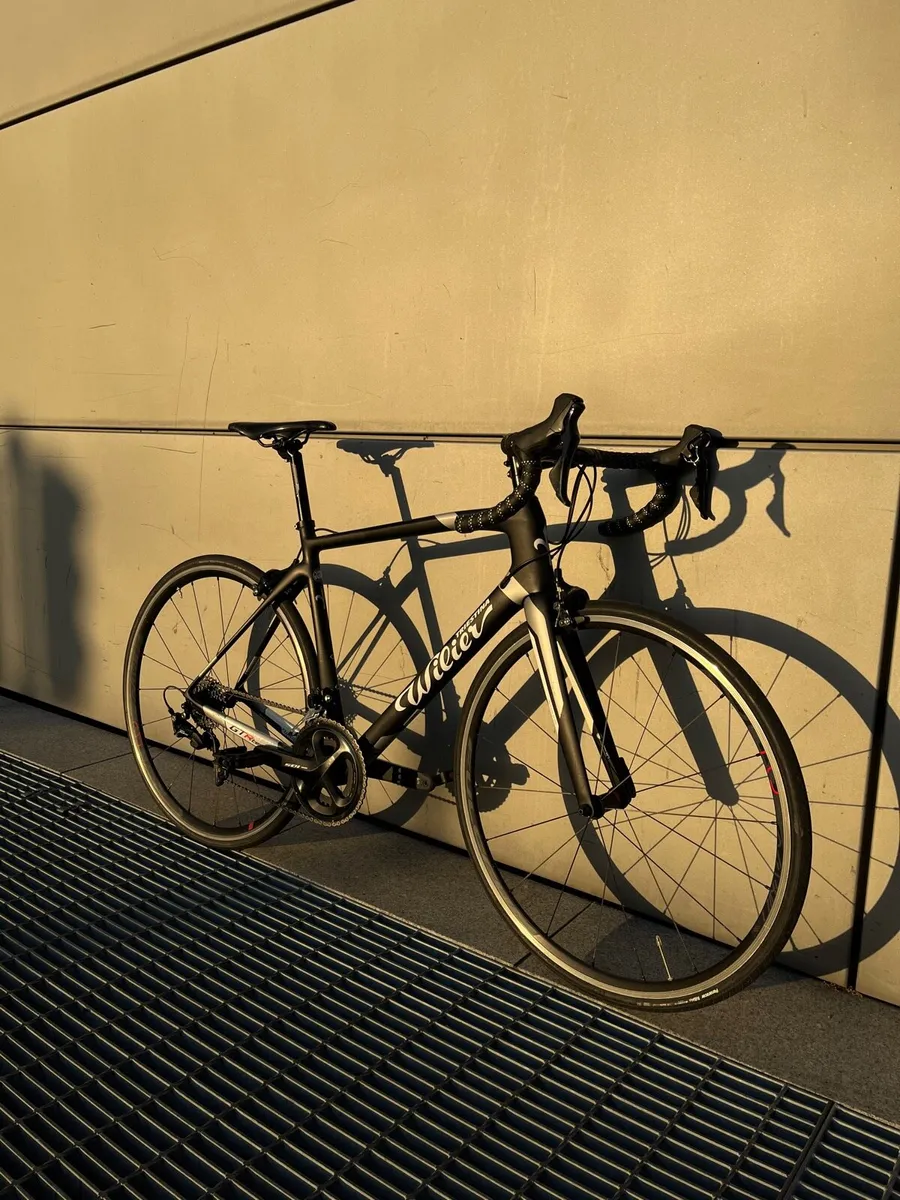 Wilier Triestina GTR Team Carbon Race Road Bike - Image 2