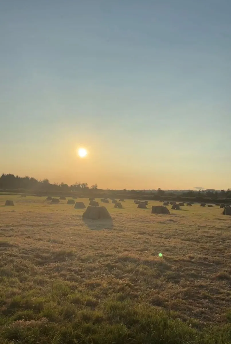Square (Small) Bales of Hay - Image 1