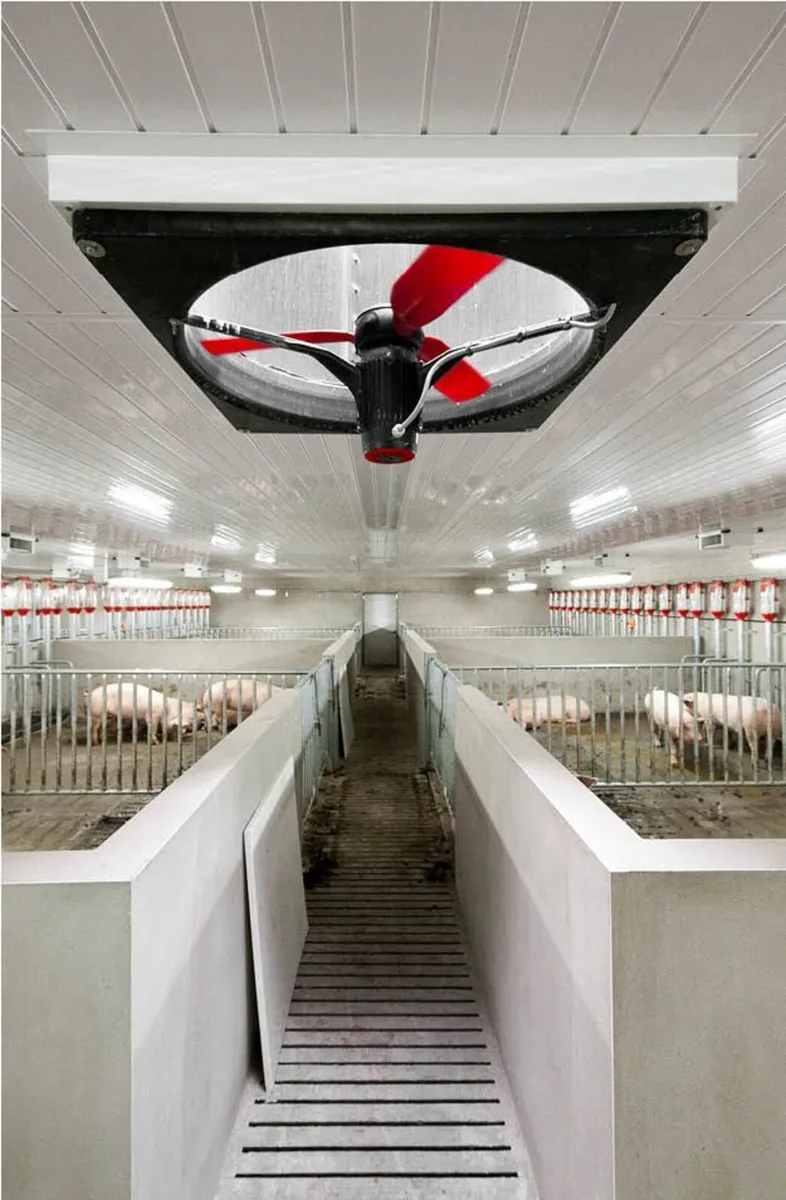Livestock Ventilation Fans - Image 3