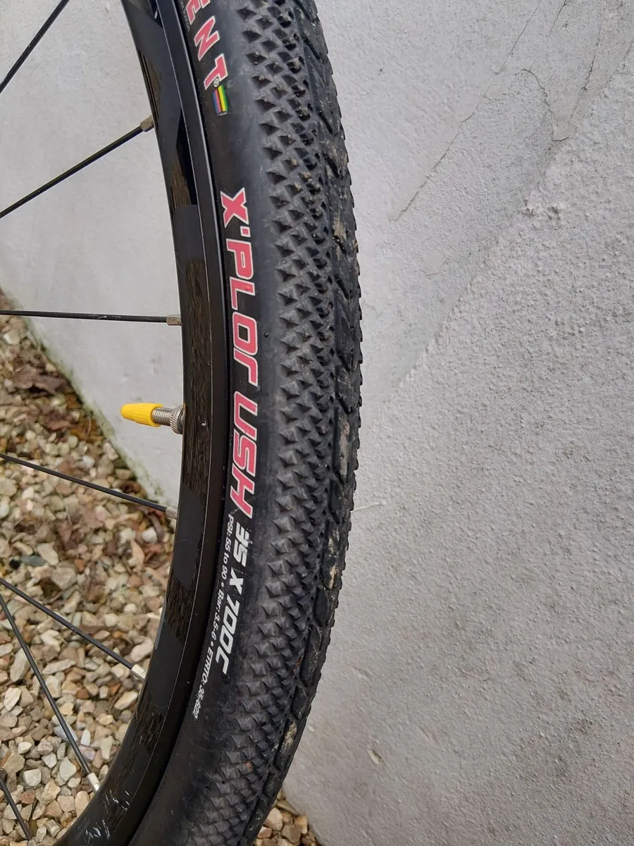 Bicycle - Image 3
