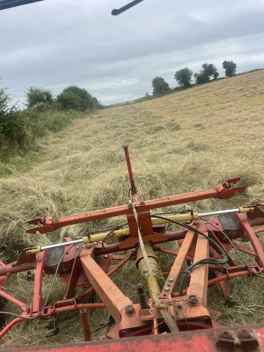 Square bales of hay - Image 1