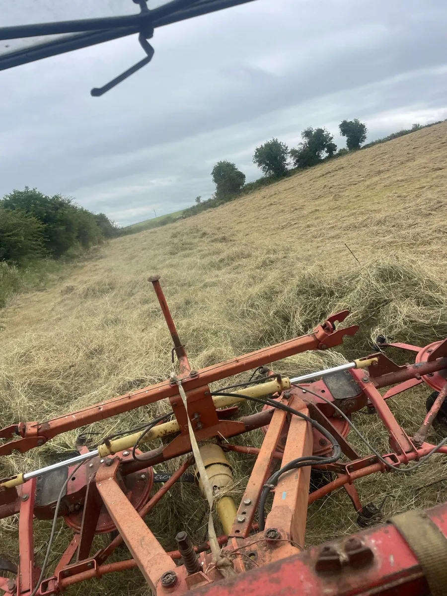 Square bales of hay - Image 2