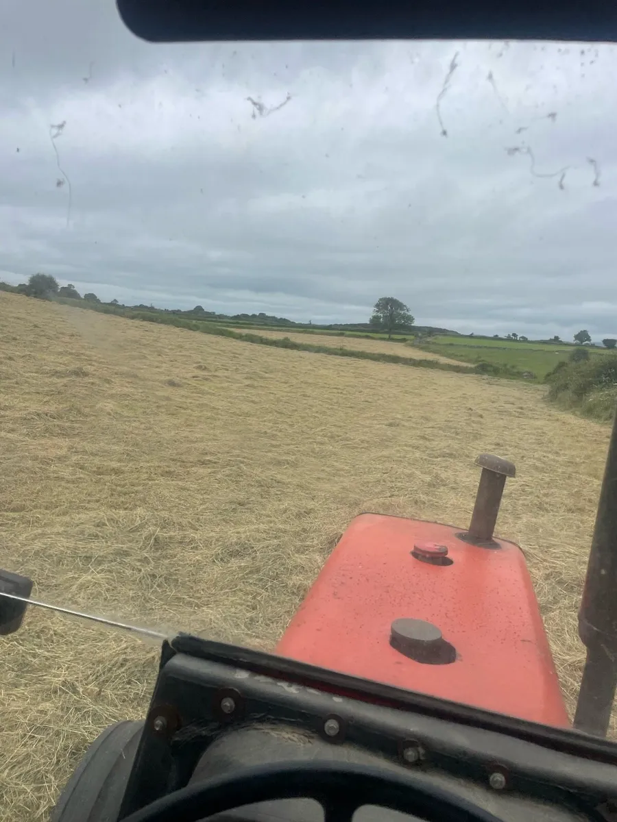 Square bales of hay - Image 3