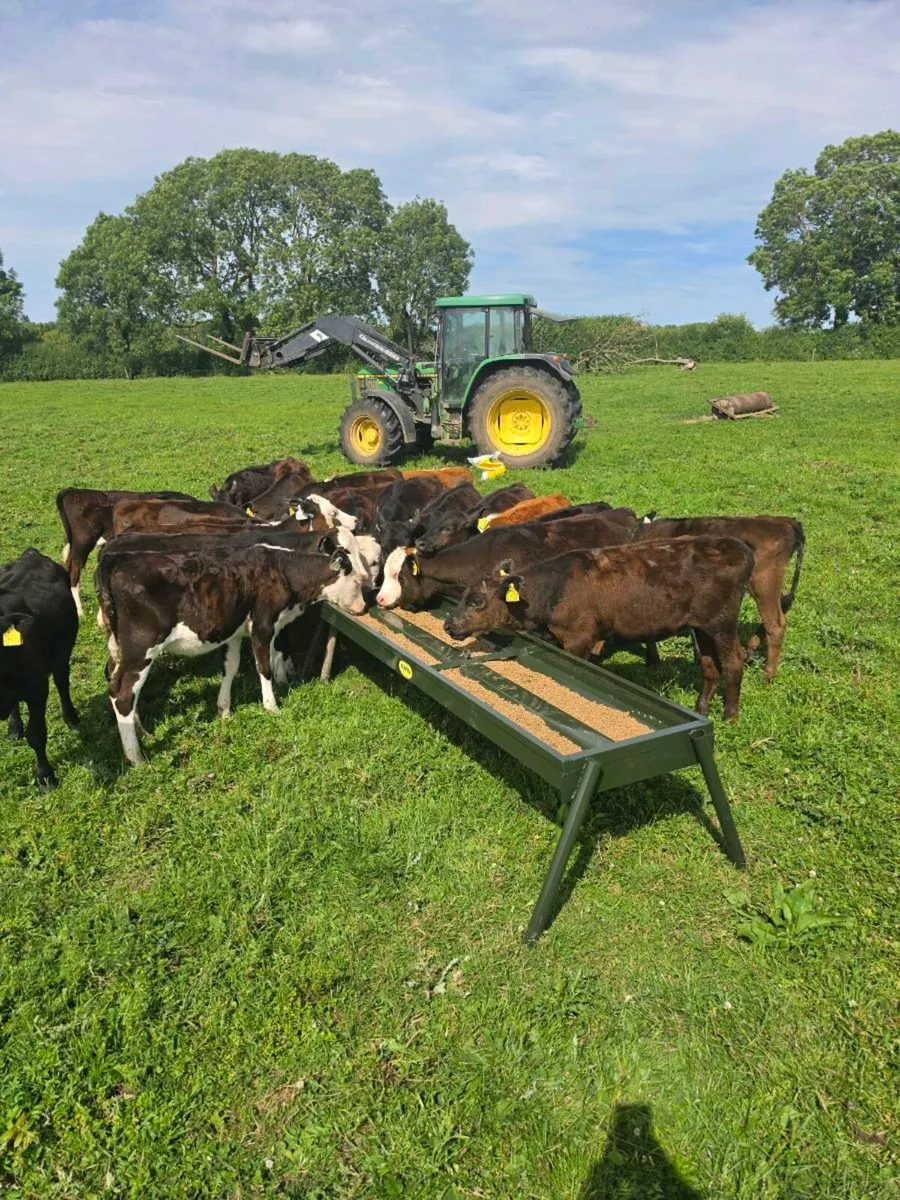 Cattle double feeding trough - Image 1