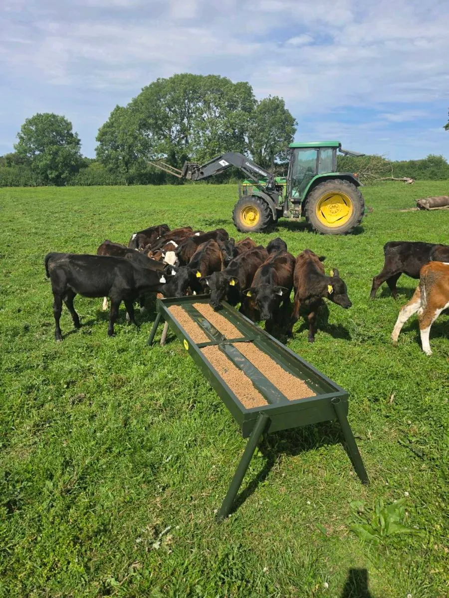 Cattle double feeding trough - Image 2