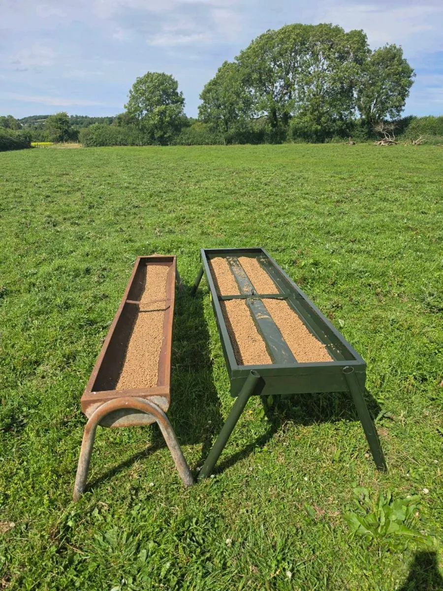 Cattle double feeding trough - Image 3