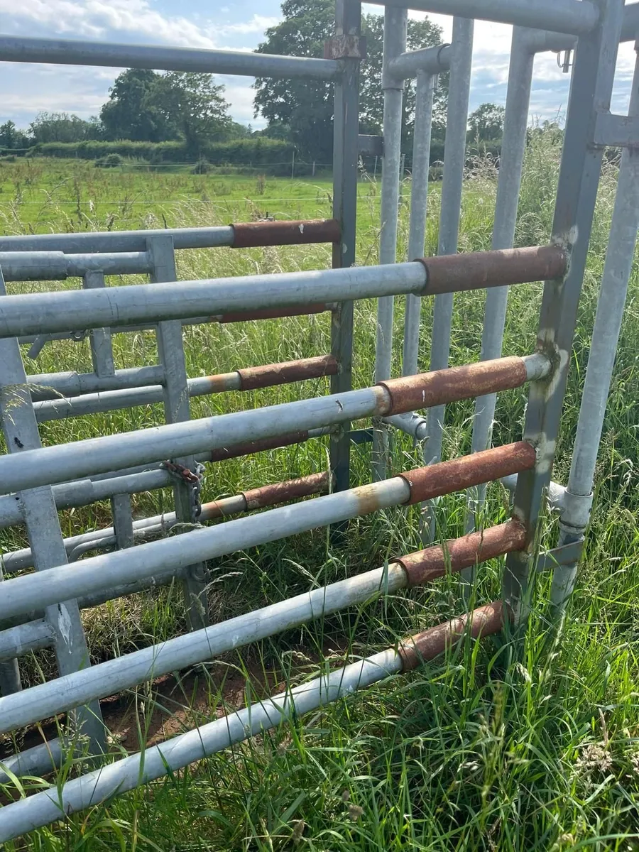 Mobile Cattle Crush - Image 2