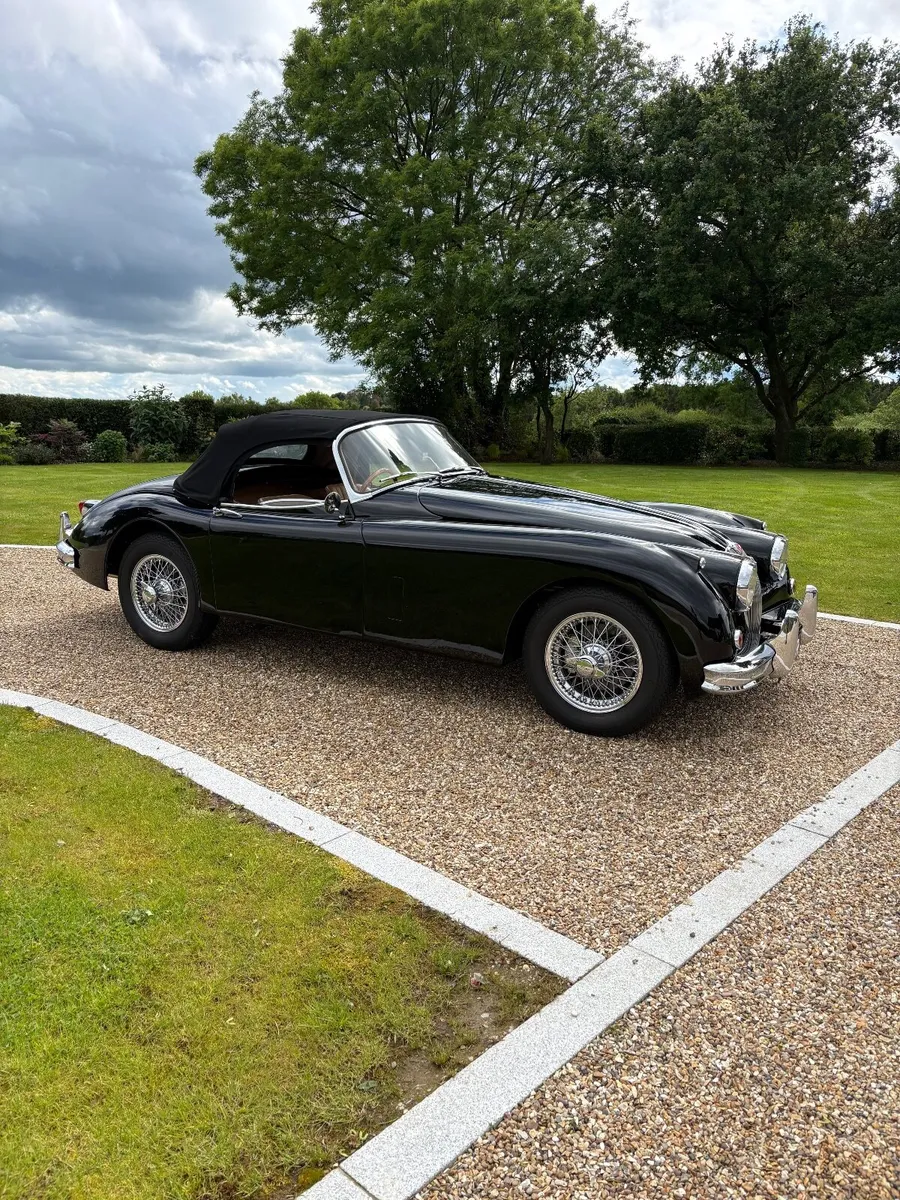 Jaguar XK 1958 - Image 2