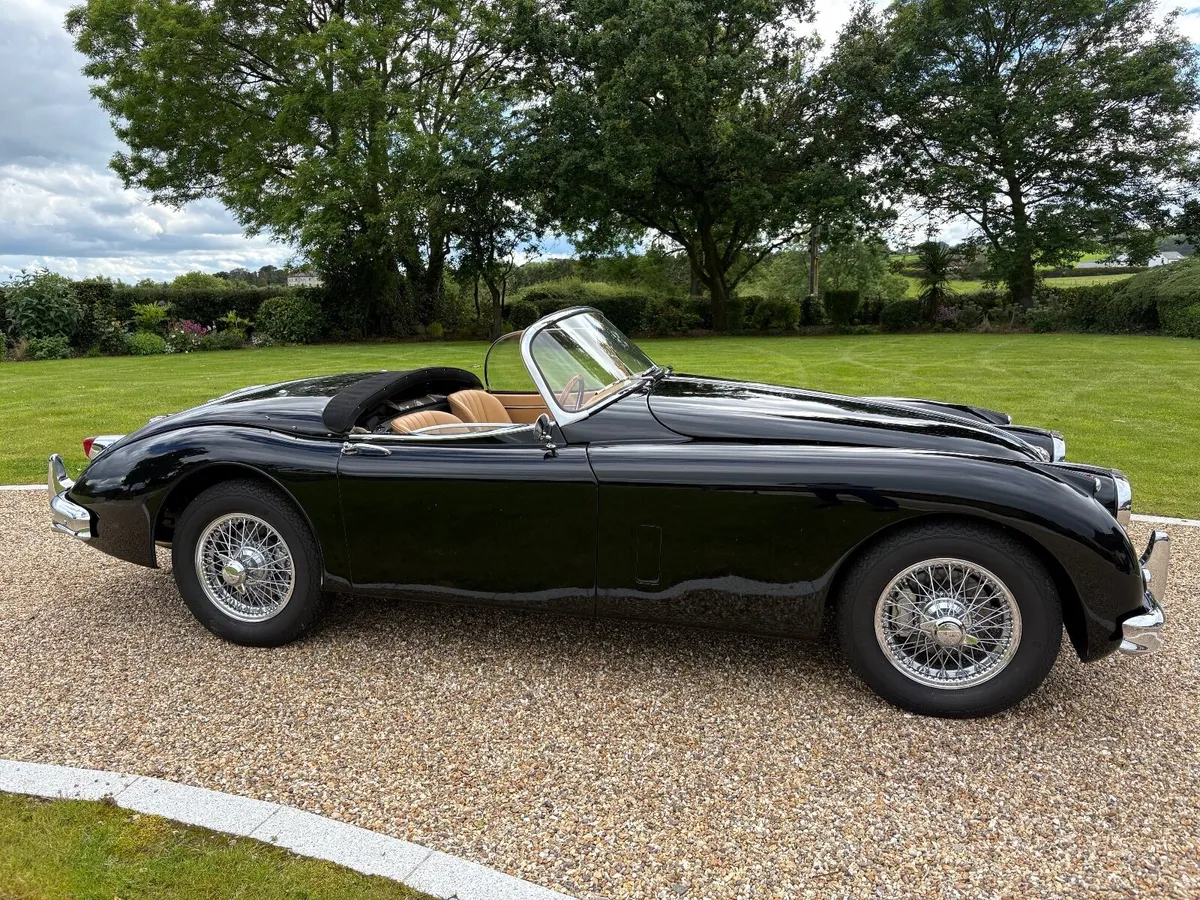 Jaguar XK 1958 - Image 3
