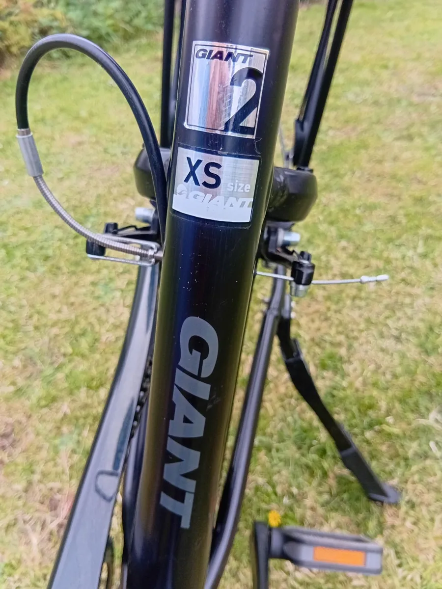 Electric  Ladies  Bicycle - Image 2