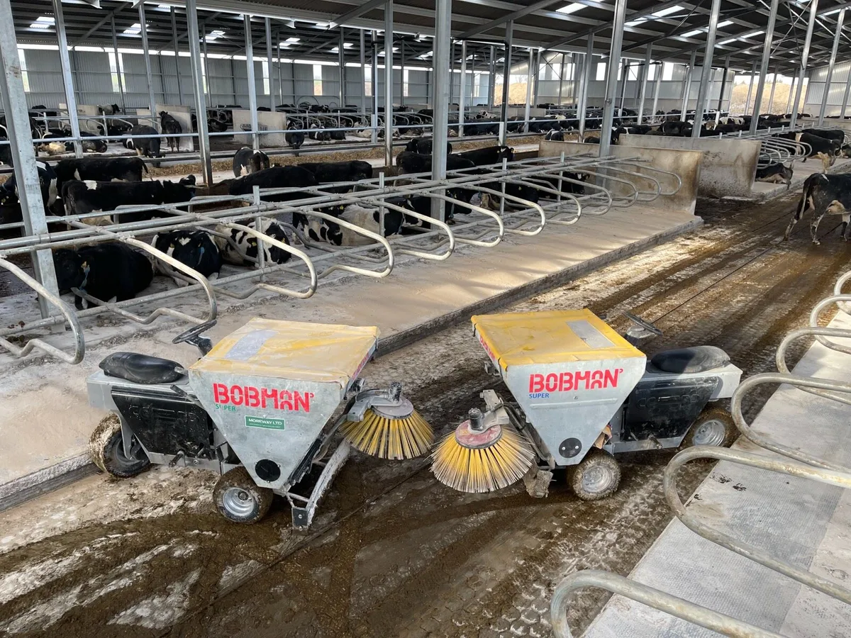 BOBMAN Super 3wd Cubicle Bedding - Image 1