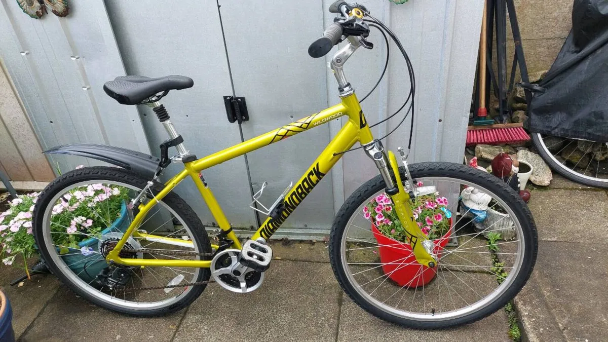 DiamondBack Wildwood Mountain bike - Image 3