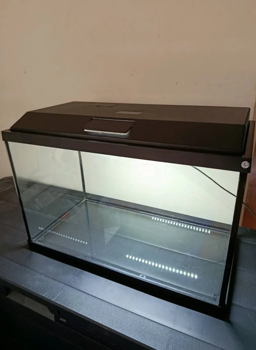 Aquarium and turtle's - Image 4
