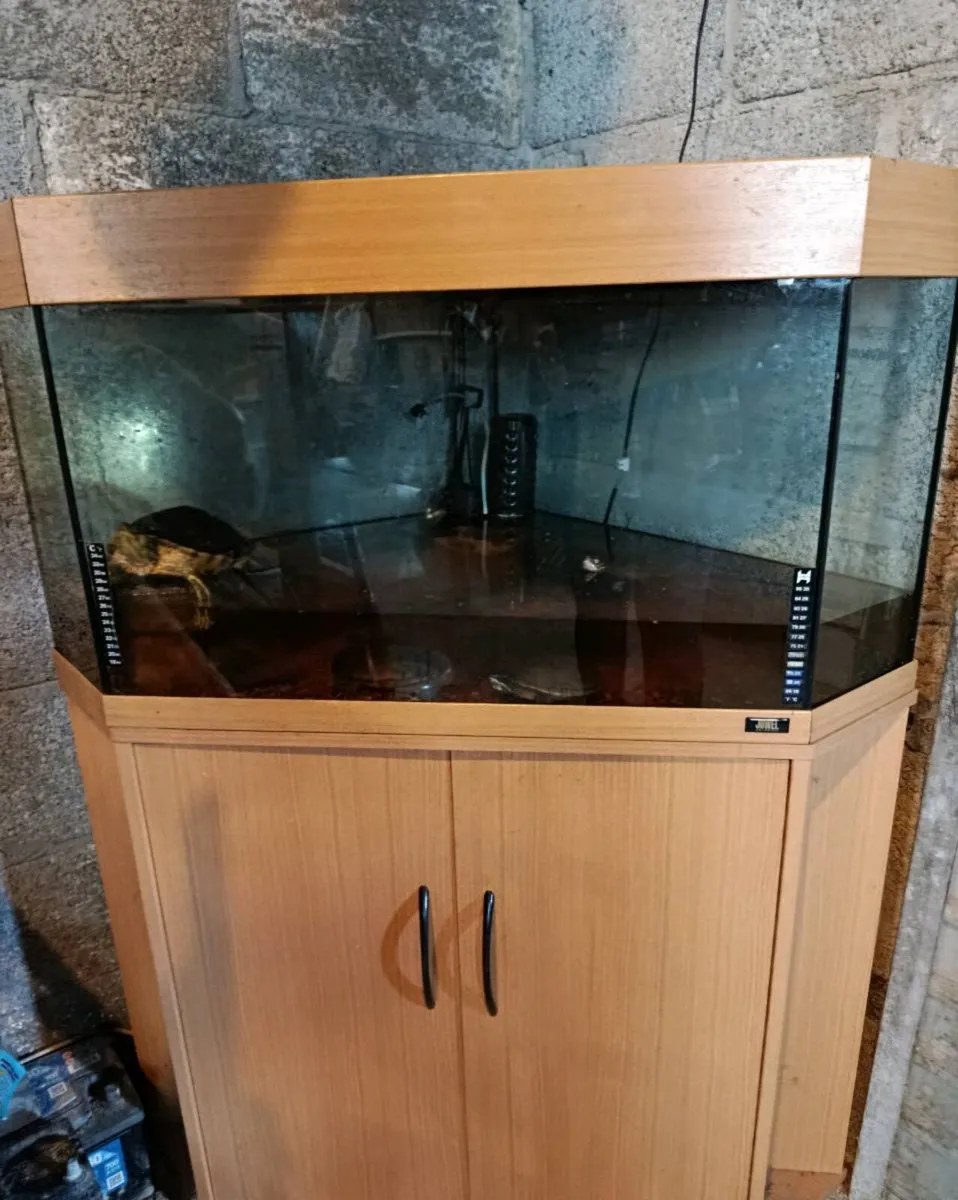 Aquarium and turtle's - Image 1
