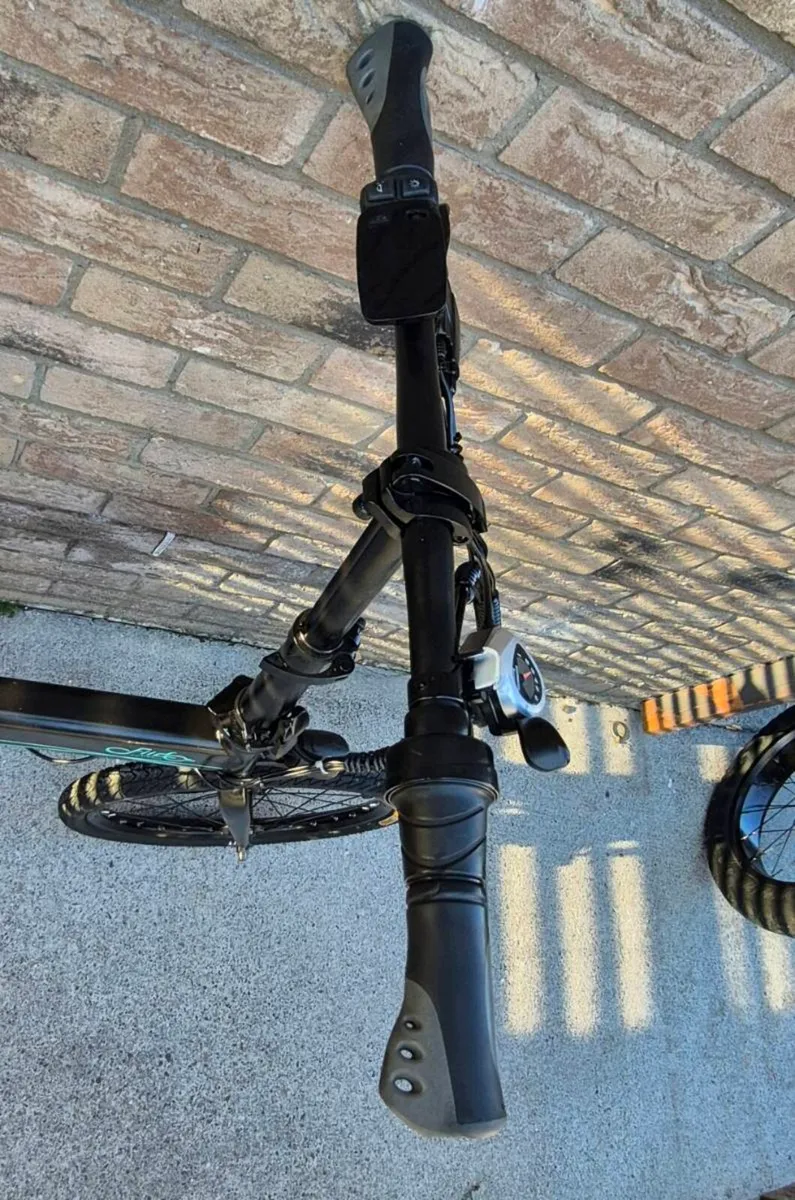 FIIDO D4S ELECTRIC BIKE THAT'S WHY IT'S SO CHEAP F - Image 2