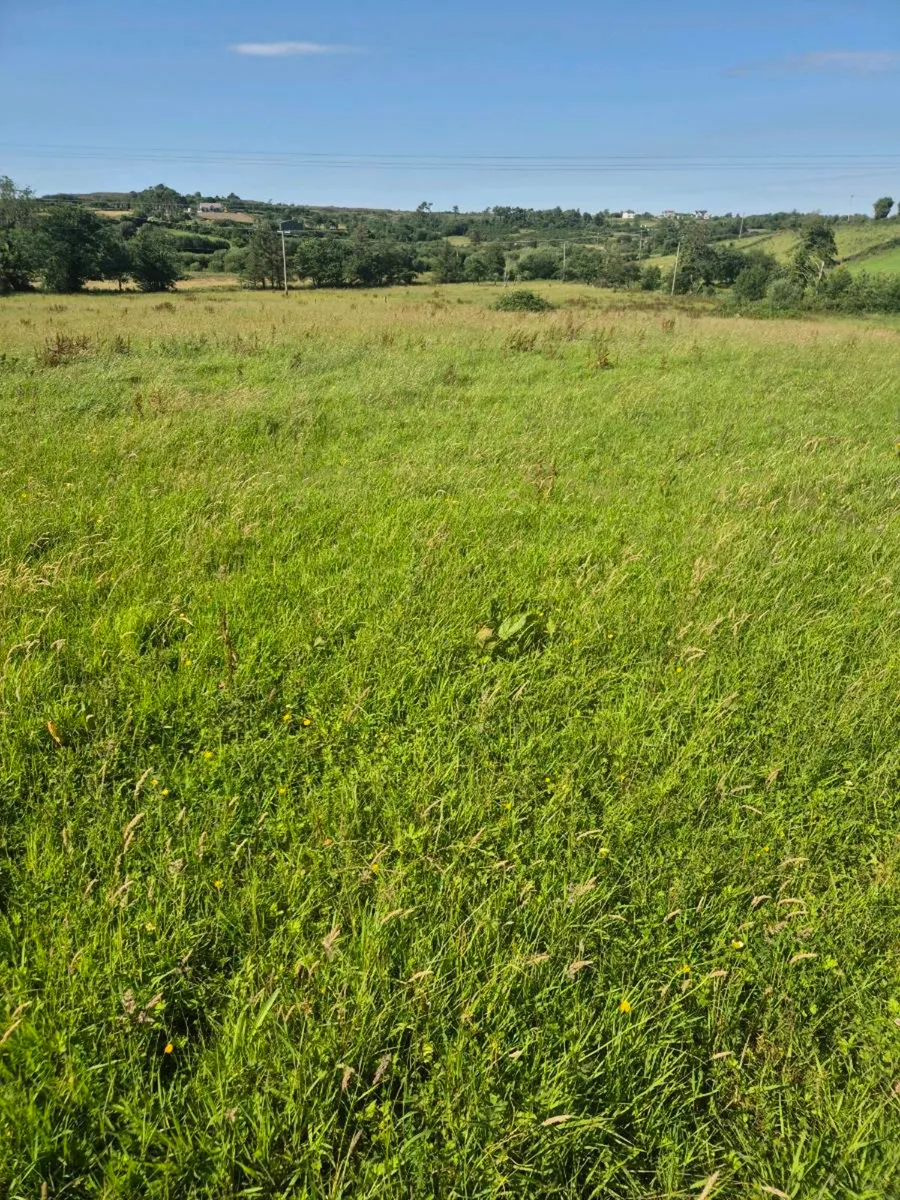 MEADOW FREE 5 ACRES - Image 2