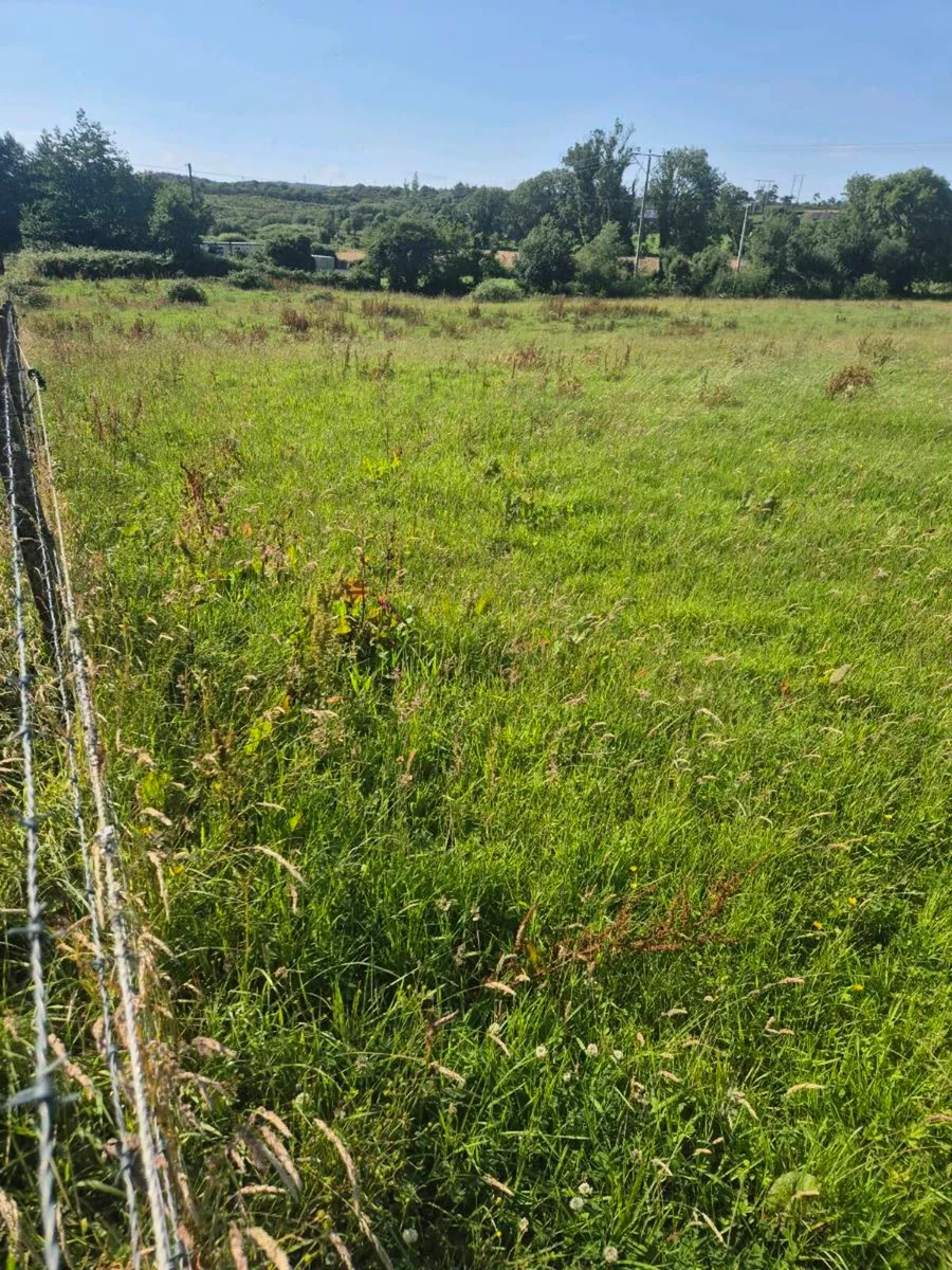 MEADOW FREE 5 ACRES - Image 3