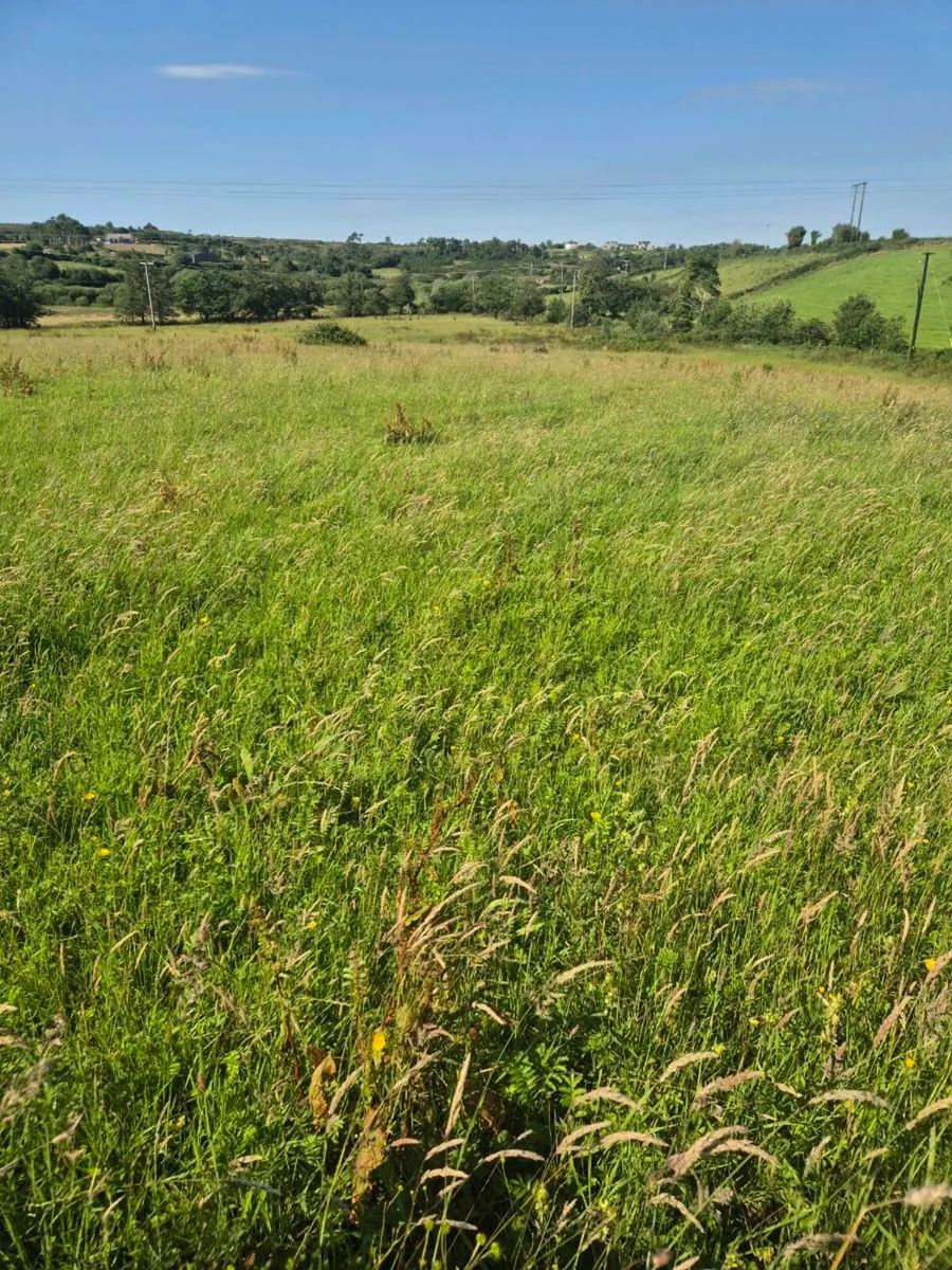 MEADOW FREE 5 ACRES - Image 1