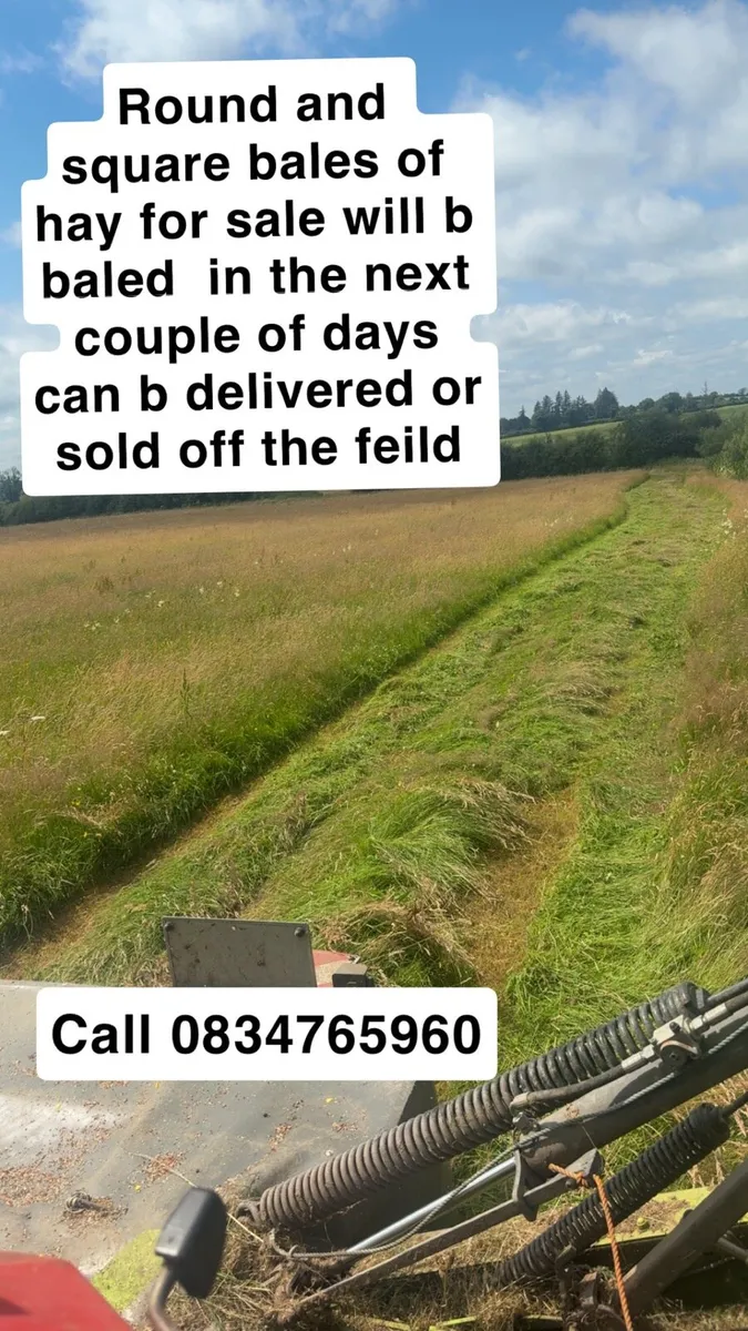 Hay - Image 1